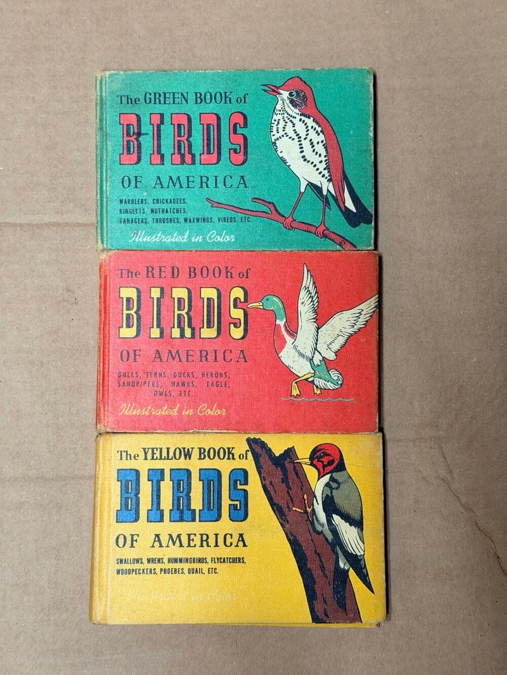 Vintage 1940s Whitman “Birds of America” Illustrated Guide Books – Set of 3